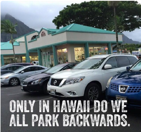 funny jokes in Hawaii memes - island living