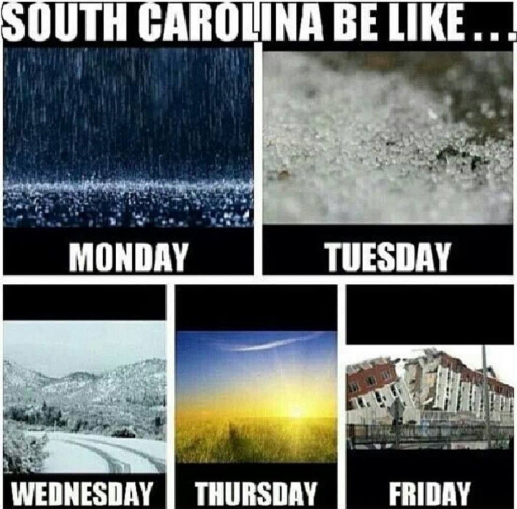 funny jokes in South Carolina memes